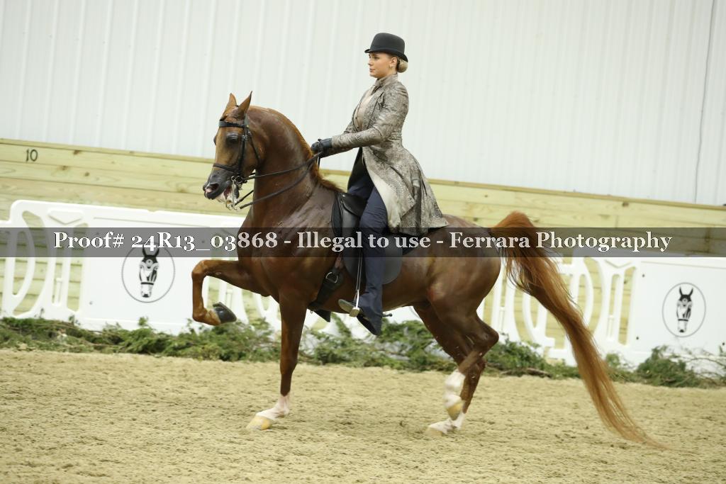 Proof 24R13_03868