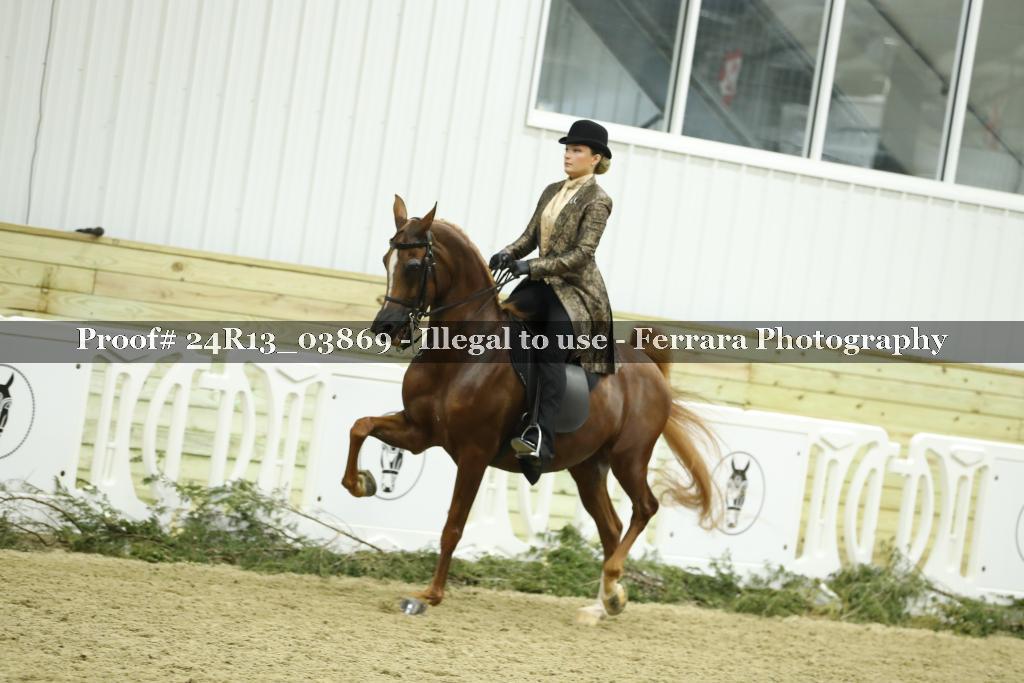 Proof 24R13_03869