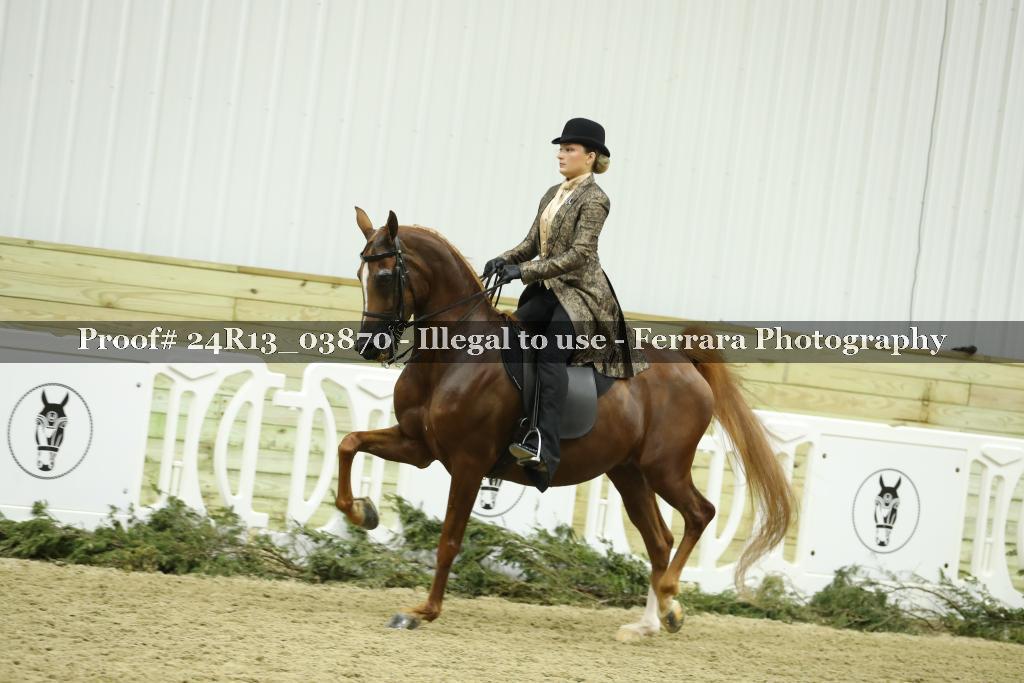 Proof 24R13_03870
