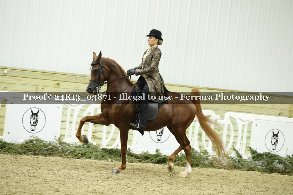 Proof 24R13_03871