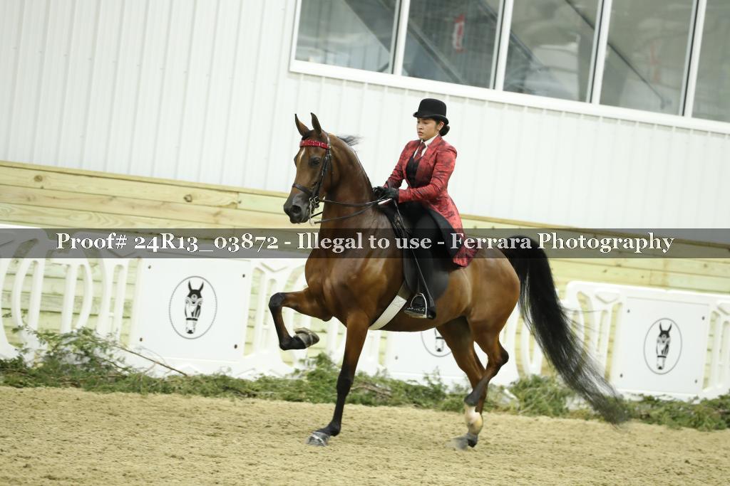 Proof 24R13_03872