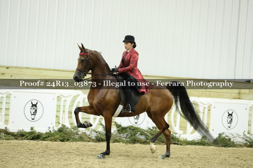 Proof 24R13_03873
