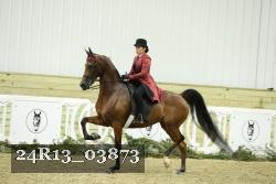 24R13_03873 proof