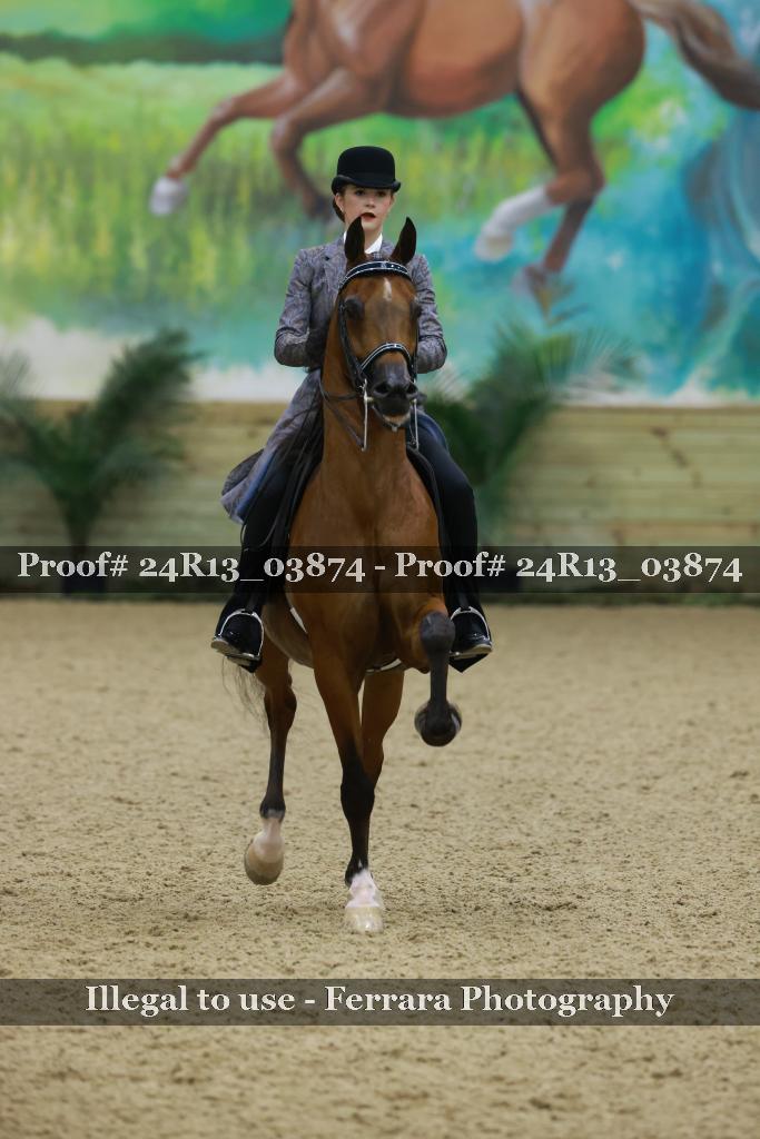 Proof 24R13_03874
