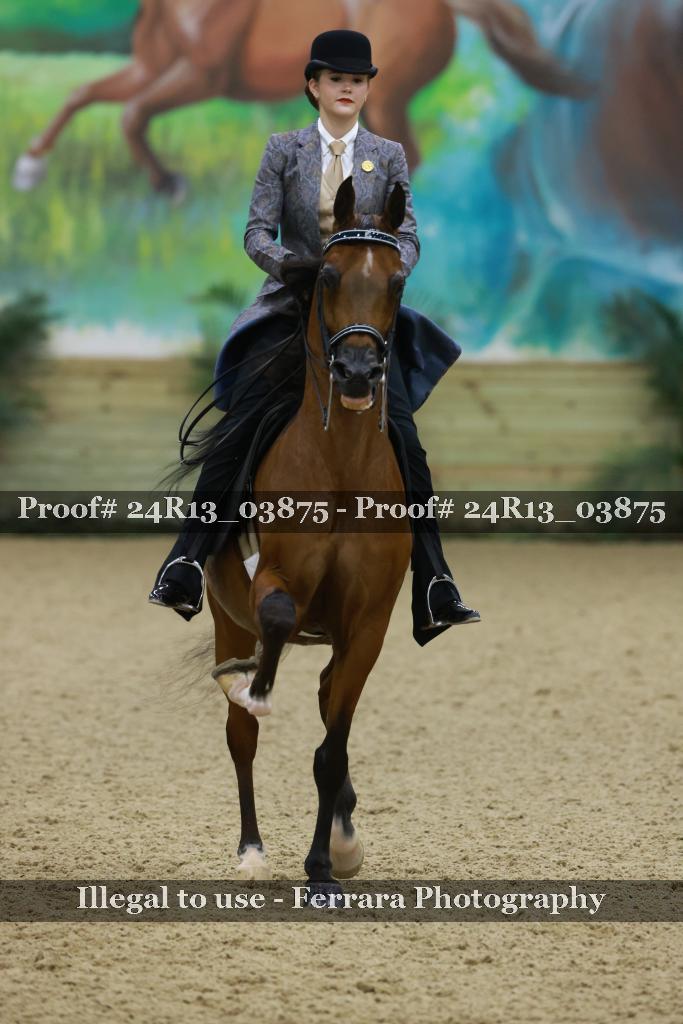 Proof 24R13_03875