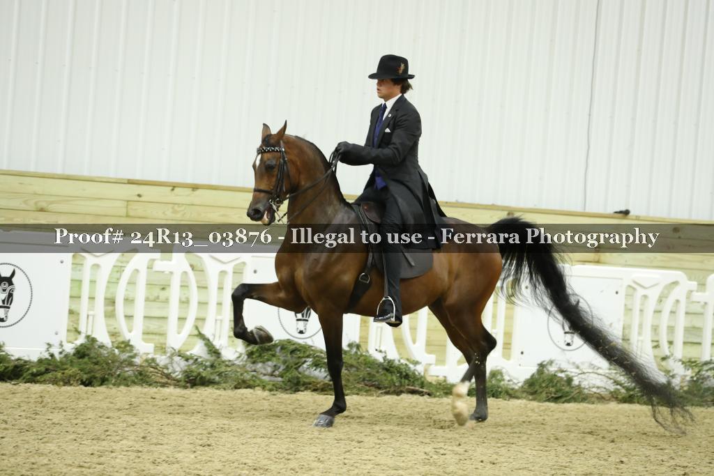 Proof 24R13_03876