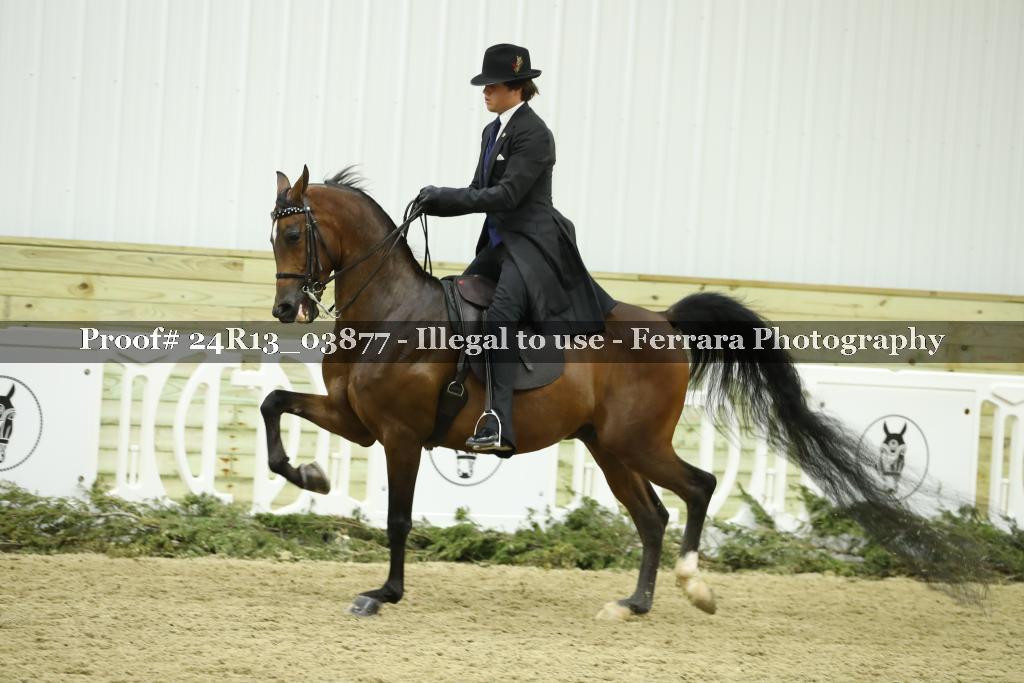 Proof 24R13_03877