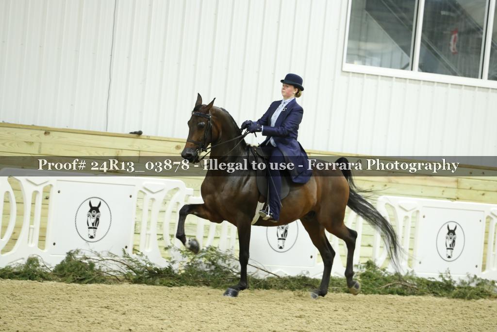 Proof 24R13_03878