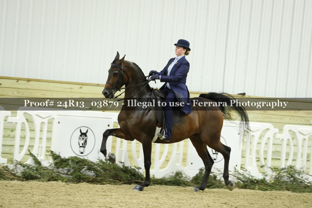 Proof 24R13_03879
