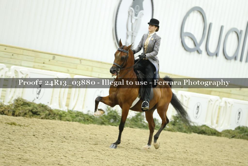 Proof 24R13_03880