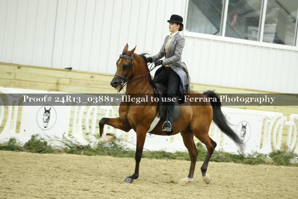Proof 24R13_03881