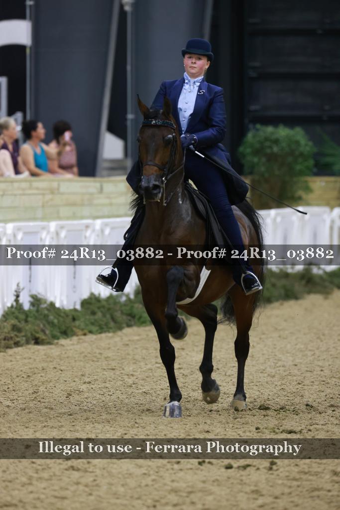 Proof 24R13_03882