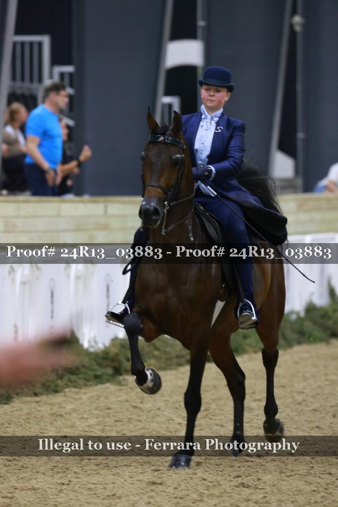 Proof 24R13_03883