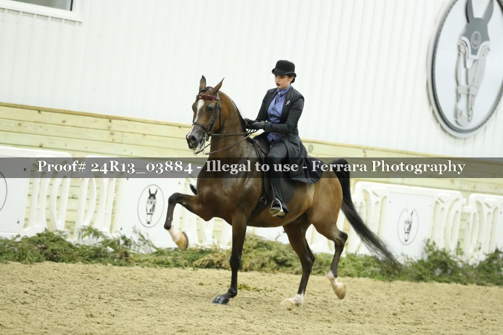 Proof 24R13_03884