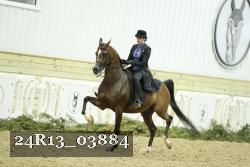 24R13_03884 proof
