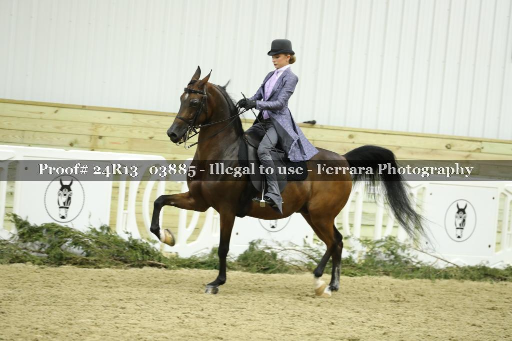 Proof 24R13_03885