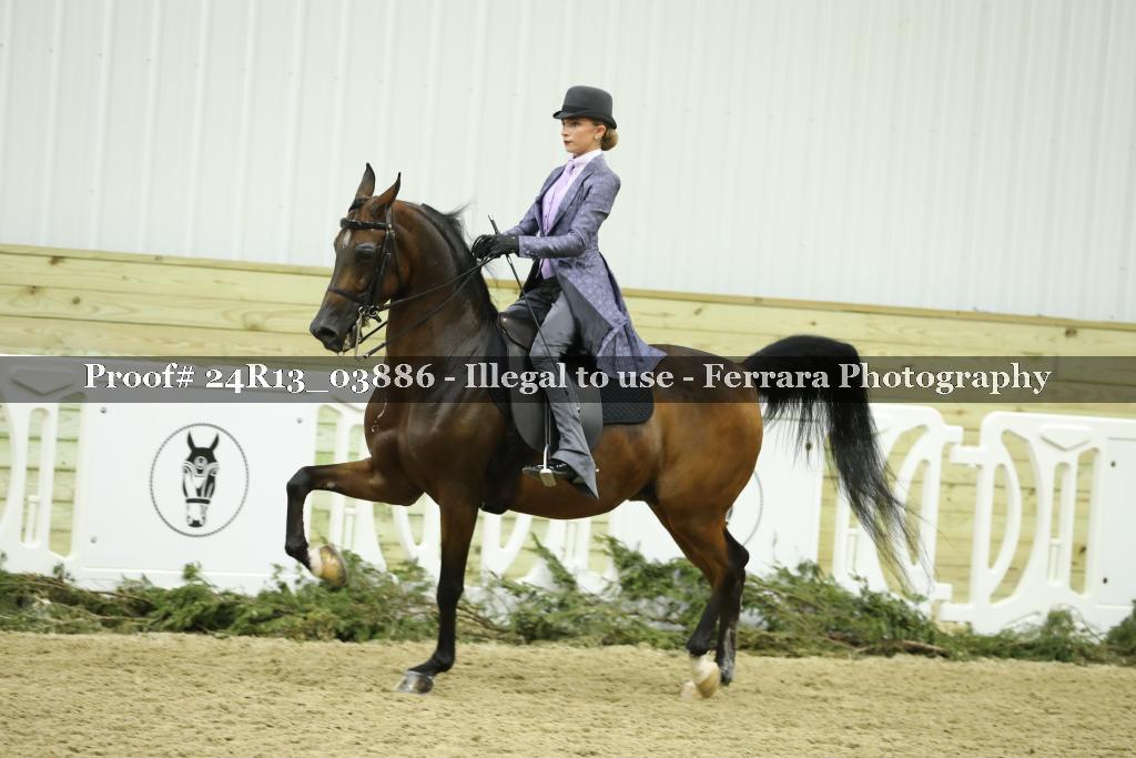 Proof 24R13_03886