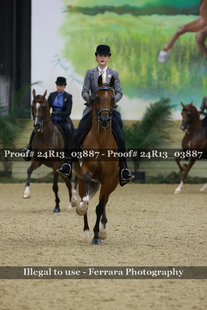 Proof 24R13_03887