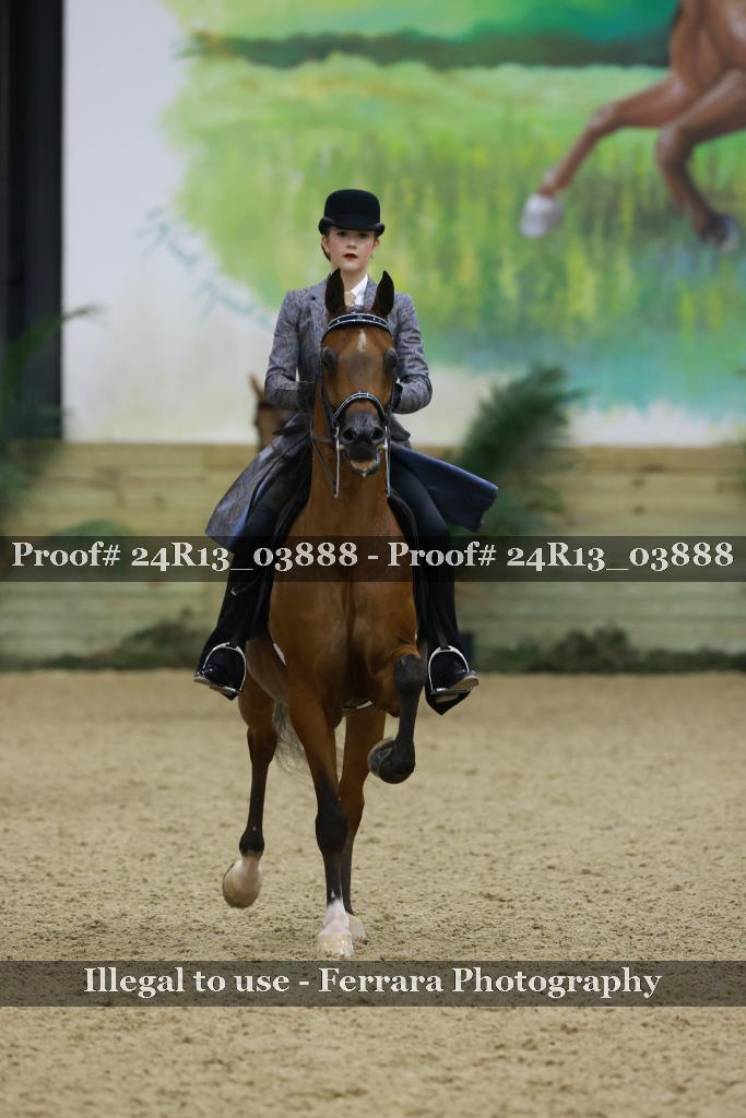 Proof 24R13_03888