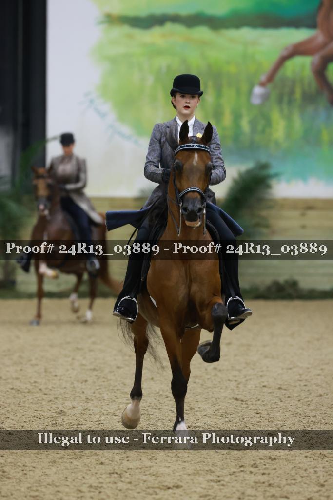 Proof 24R13_03889
