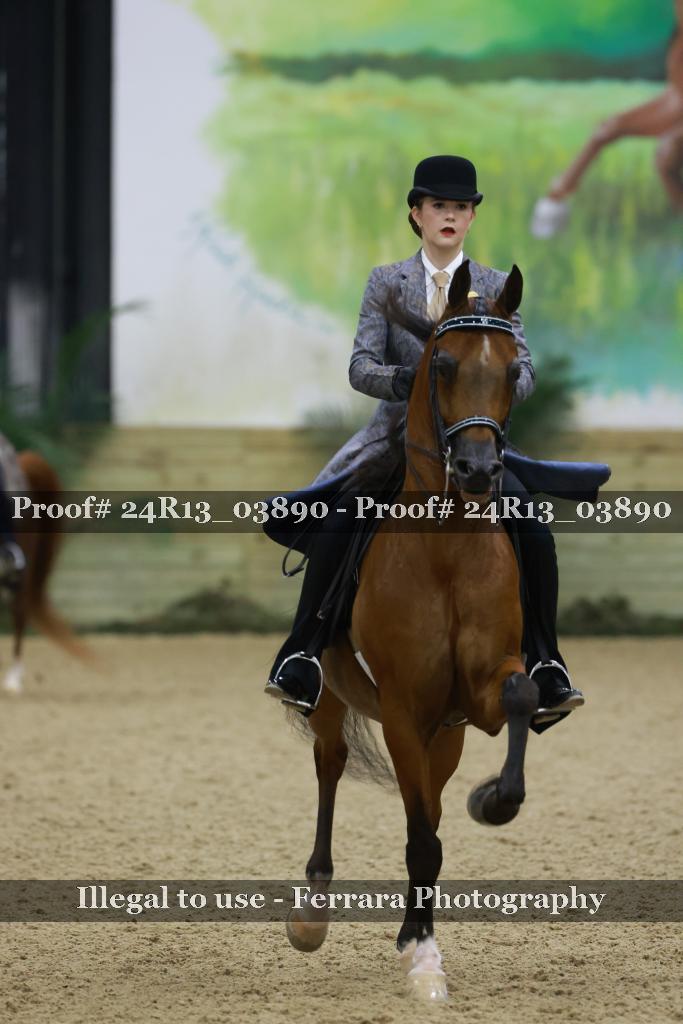 Proof 24R13_03890