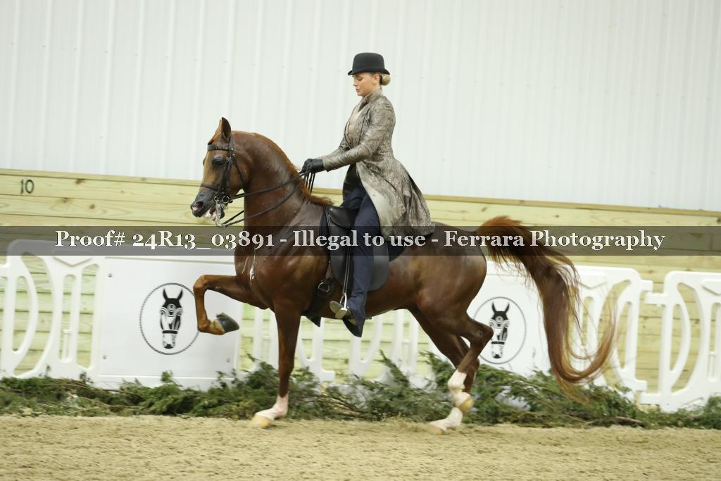 Proof 24R13_03891