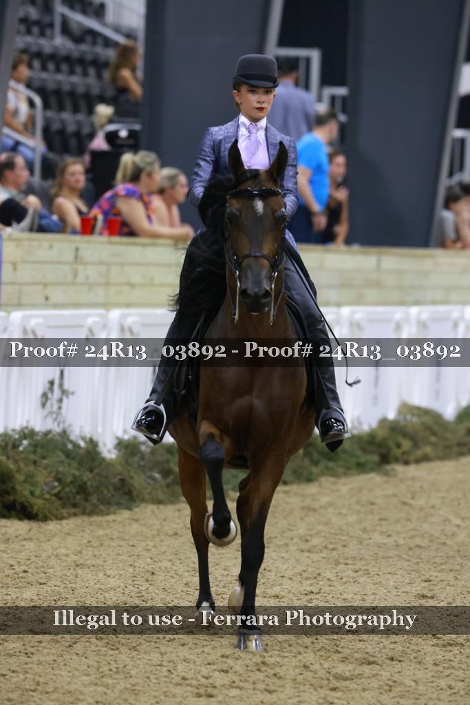 Proof 24R13_03892