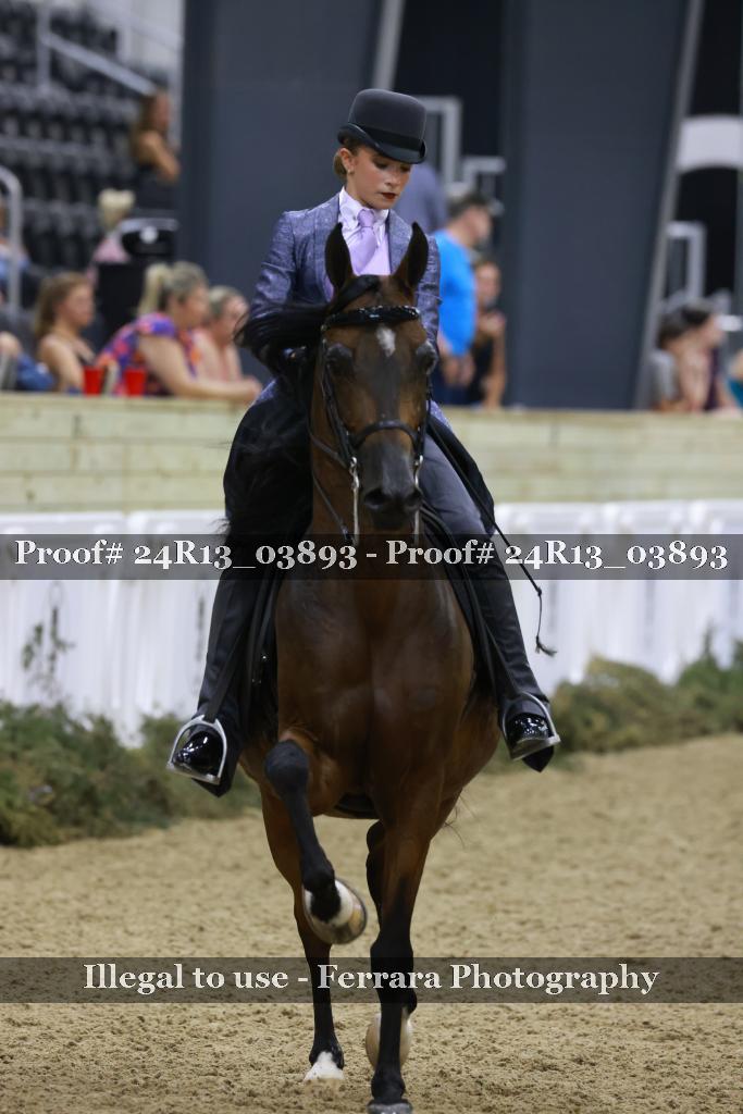 Proof 24R13_03893