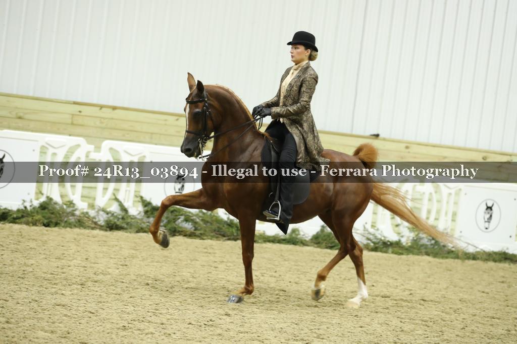 Proof 24R13_03894