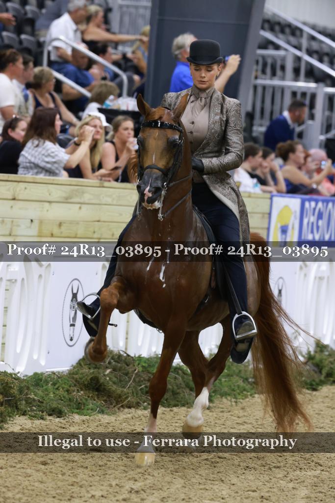 Proof 24R13_03895