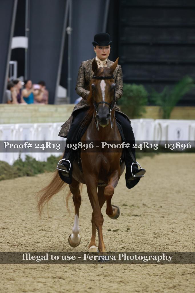 Proof 24R13_03896
