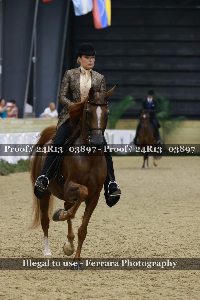 Proof 24R13_03897