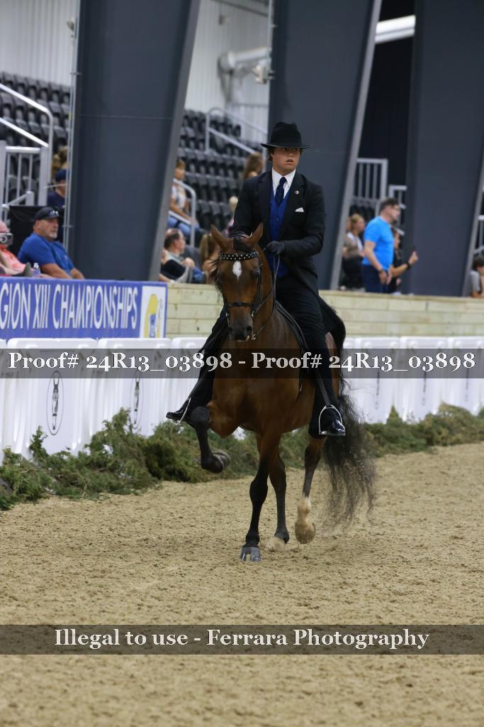 Proof 24R13_03898