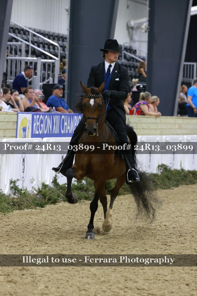 Proof 24R13_03899