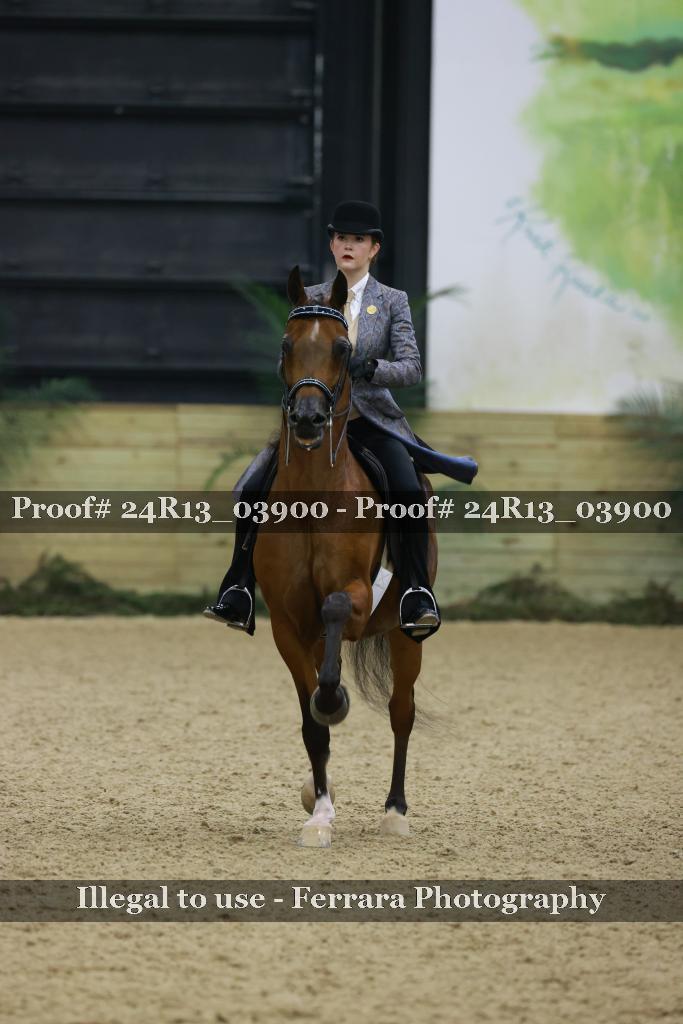 Proof 24R13_03900