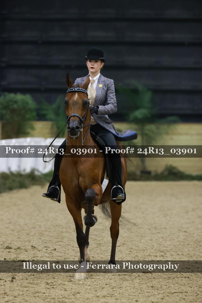 Proof 24R13_03901