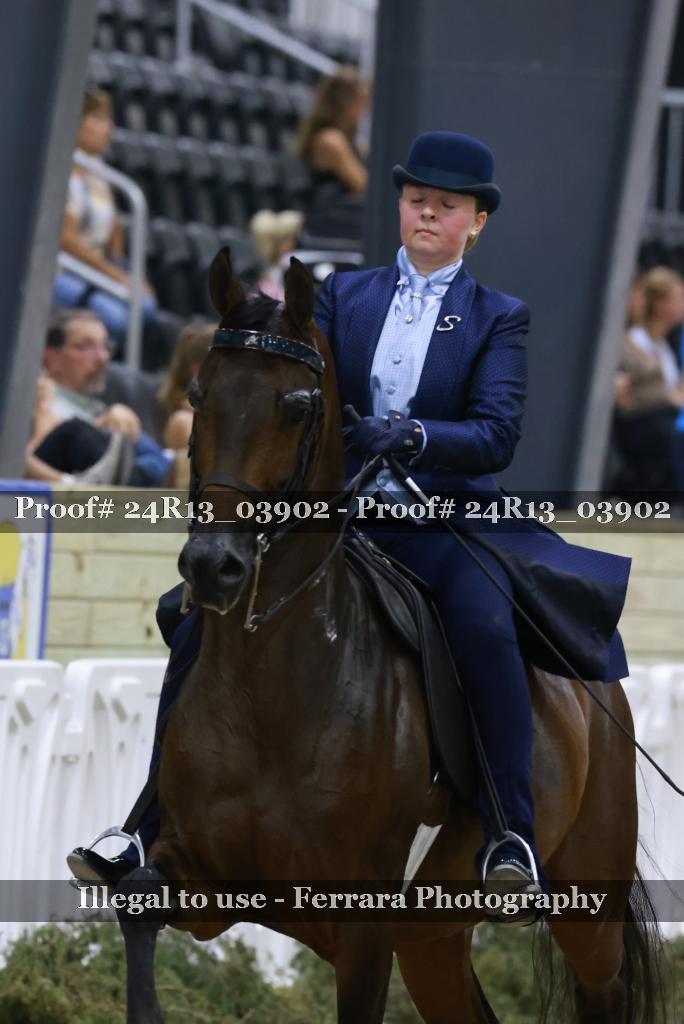 Proof 24R13_03902