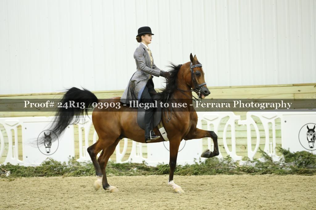 Proof 24R13_03903