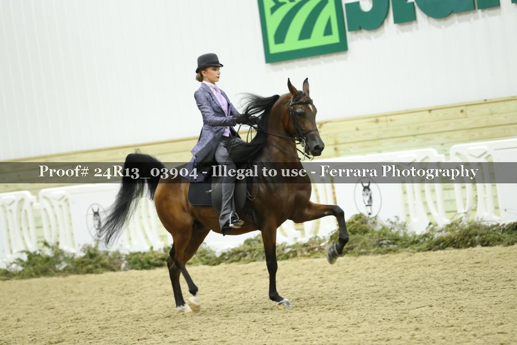 Proof 24R13_03904