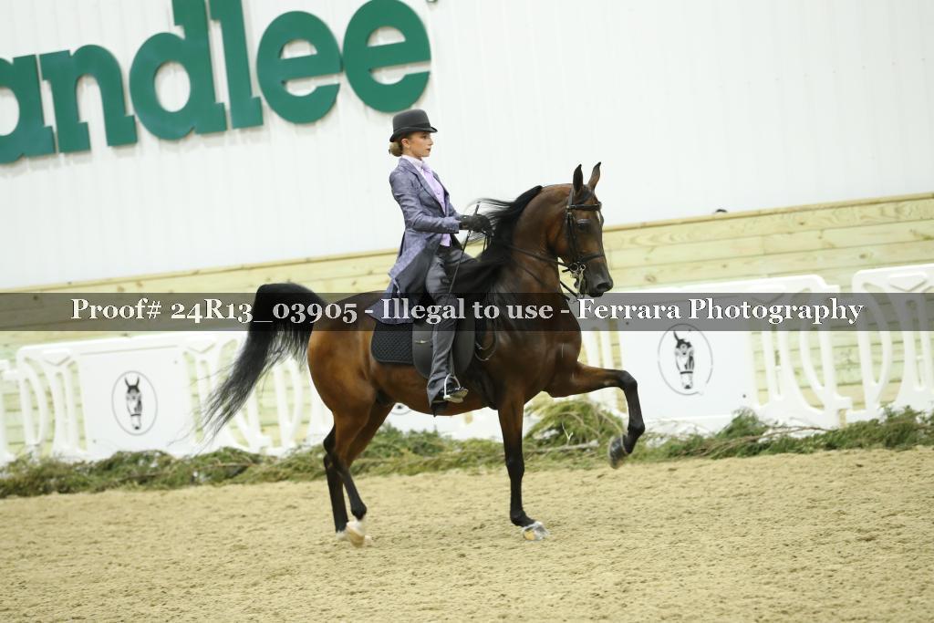 Proof 24R13_03905