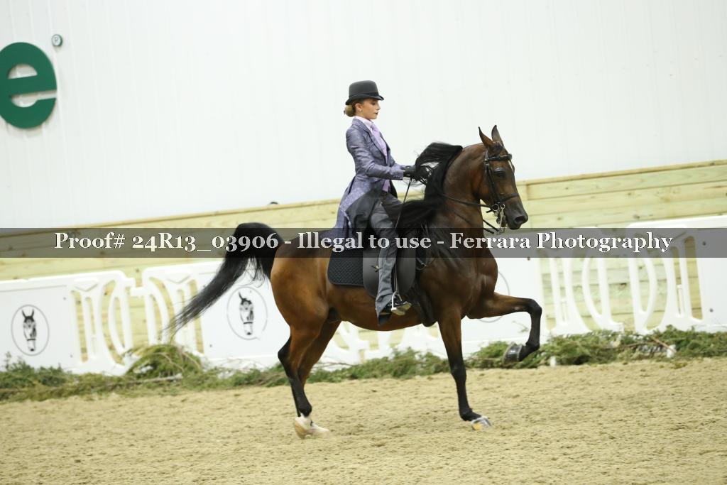 Proof 24R13_03906