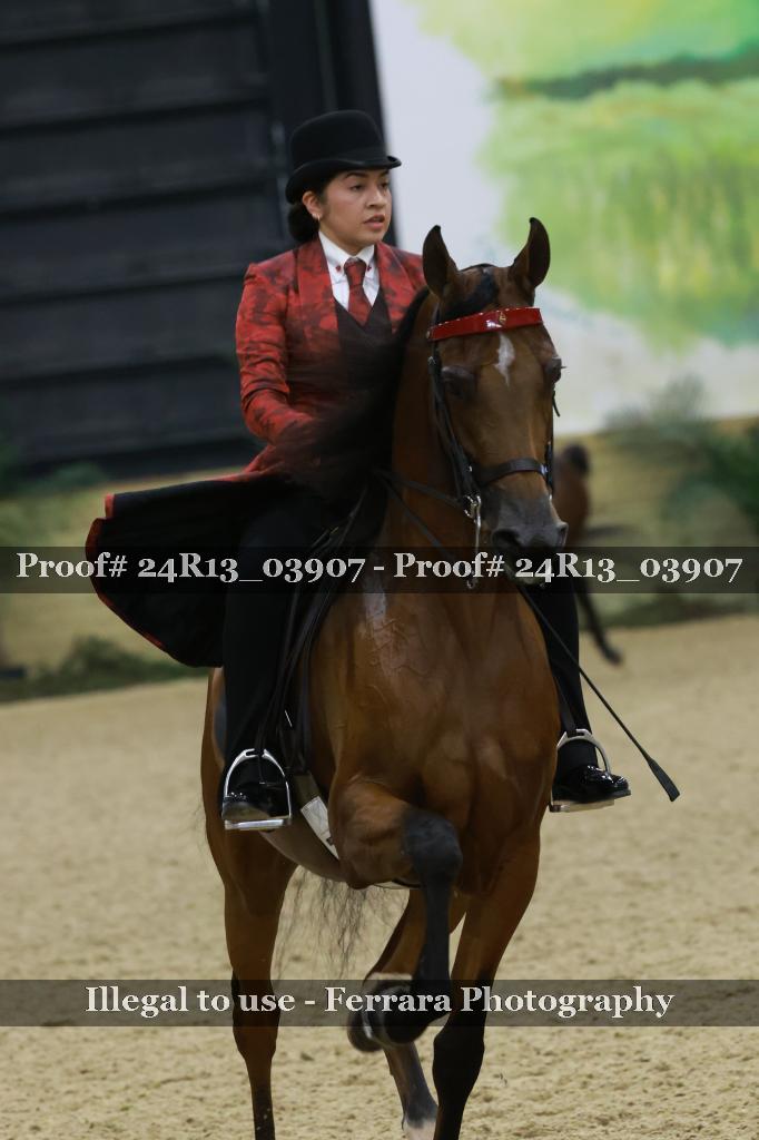 Proof 24R13_03907