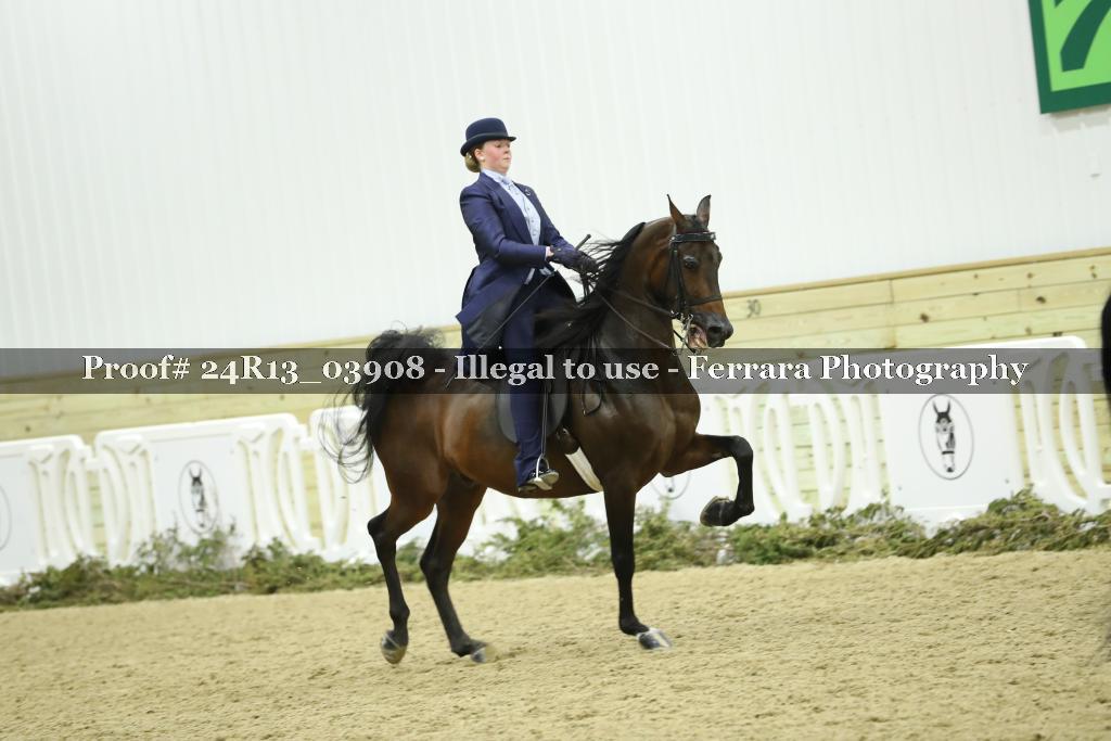 Proof 24R13_03908