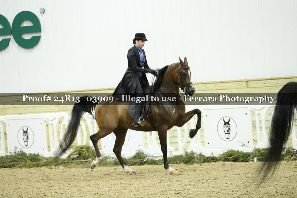 Proof 24R13_03909