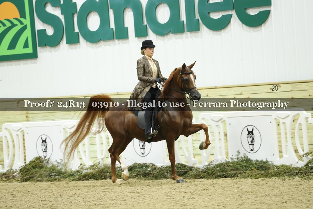Proof 24R13_03910