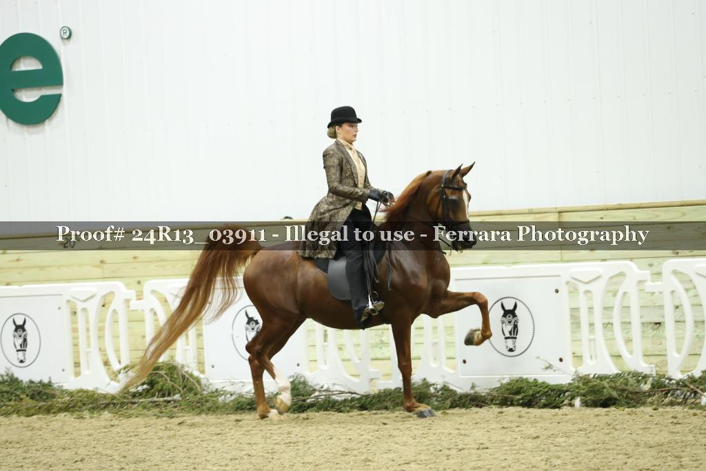 Proof 24R13_03911