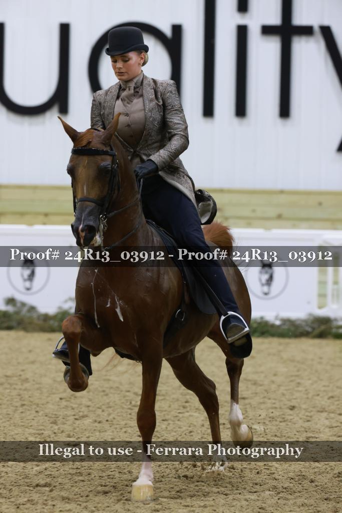 Proof 24R13_03912