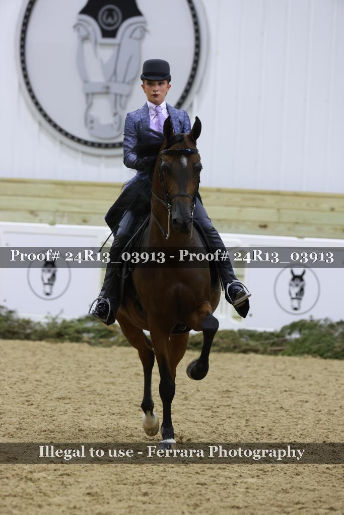 Proof 24R13_03913