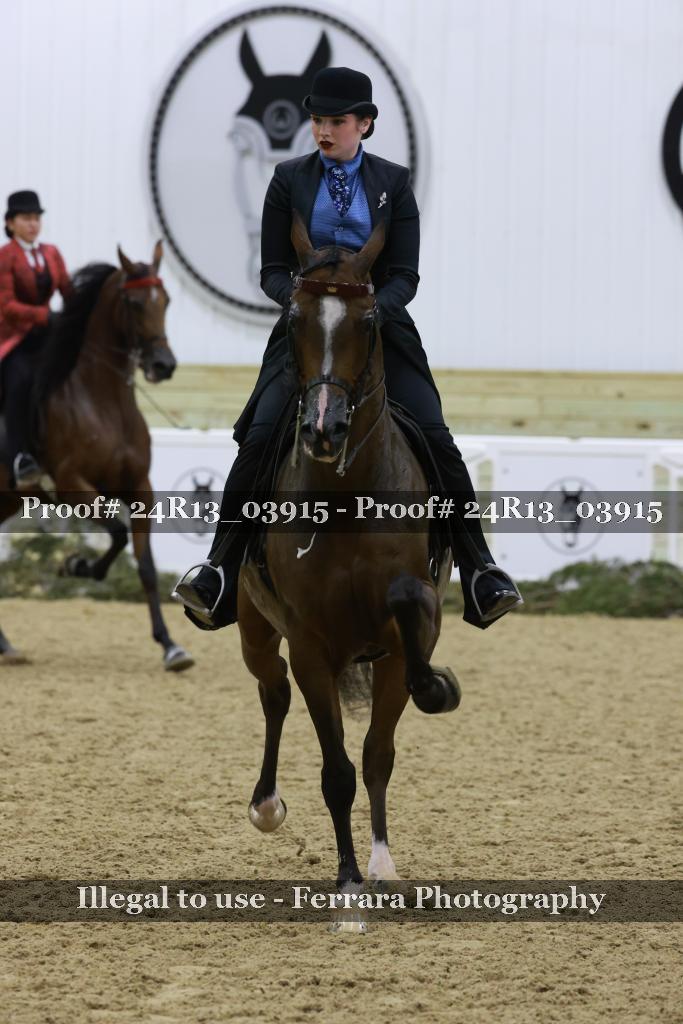 Proof 24R13_03915
