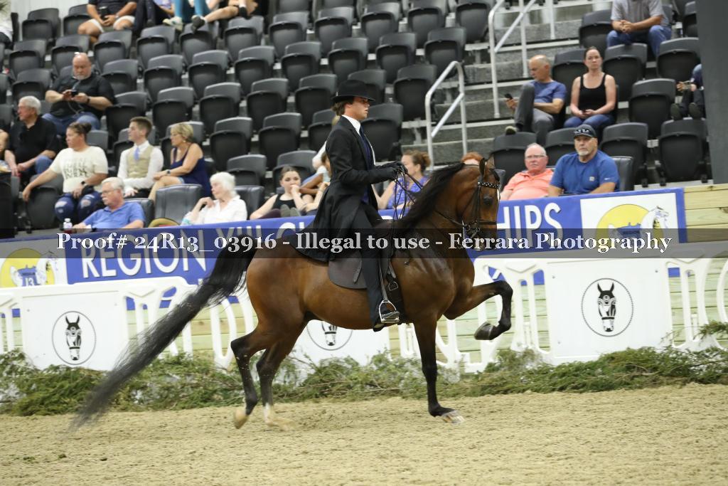Proof 24R13_03916